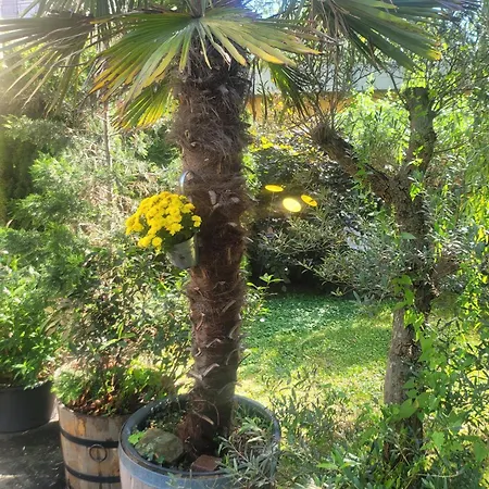 Mit 2 Baedern Und 2 Schlafzimmern Drezda