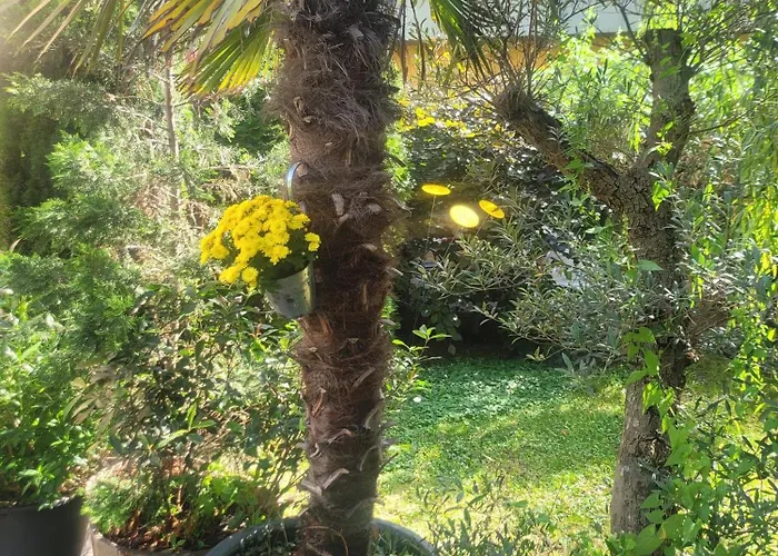 Mit 2 Baedern Und 2 Schlafzimmern Drezda